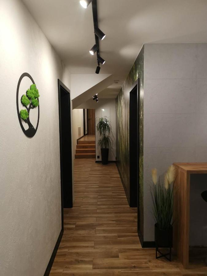 Apartament Skorusinka W Poblizu Chocholowskich Term Витув Экстерьер фото
